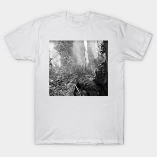 Eucalypti of Mount Sutro T-Shirt